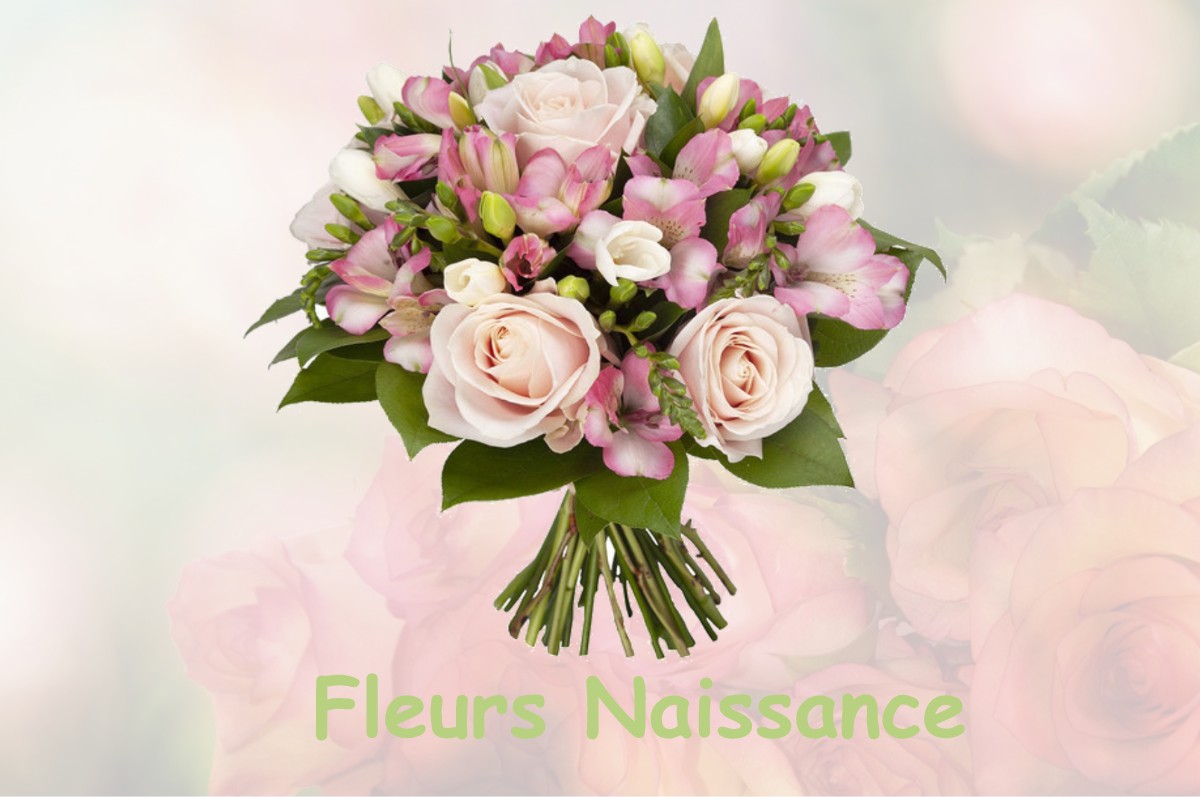 fleurs naissance LA-CROIX-DU-PERCHE